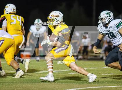 Thumbnail 3 in Tioga @ Collinsville photogallery.
