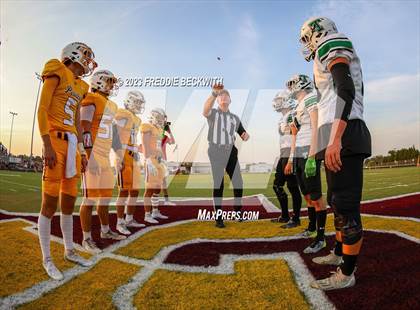 Thumbnail 1 in Tioga @ Collinsville photogallery.