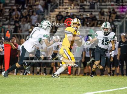 Thumbnail 1 in Tioga @ Collinsville photogallery.