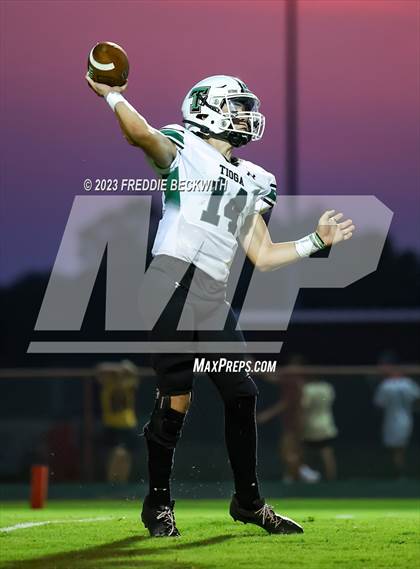 Thumbnail 3 in Tioga @ Collinsville photogallery.