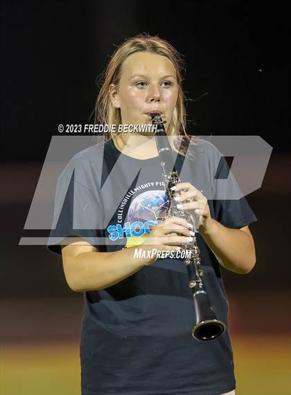 Thumbnail 3 in Tioga @ Collinsville photogallery.