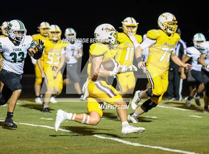 Thumbnail 3 in Tioga @ Collinsville photogallery.
