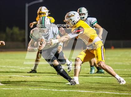 Thumbnail 3 in Tioga @ Collinsville photogallery.