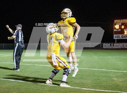 Thumbnail 2 in Tioga @ Collinsville photogallery.