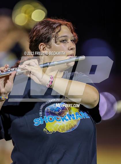 Thumbnail 1 in Tioga @ Collinsville photogallery.