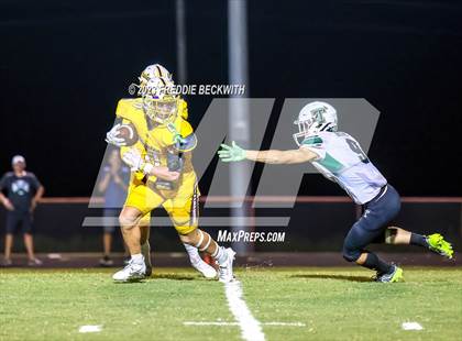 Thumbnail 1 in Tioga @ Collinsville photogallery.