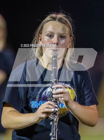 Thumbnail 3 in Tioga @ Collinsville photogallery.