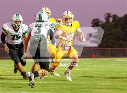 Thumbnail 1 in Tioga @ Collinsville photogallery.