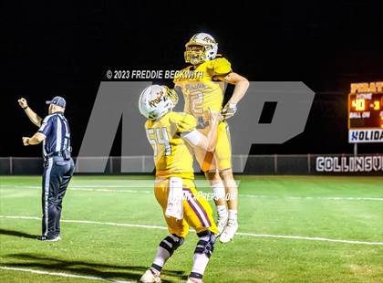 Thumbnail 3 in Tioga @ Collinsville photogallery.