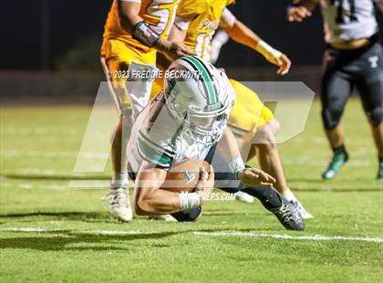Thumbnail 3 in Tioga @ Collinsville photogallery.