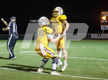 Thumbnail 1 in Tioga @ Collinsville photogallery.