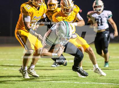 Thumbnail 2 in Tioga @ Collinsville photogallery.