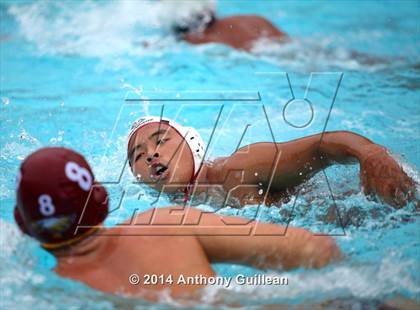 Thumbnail 1 in Westminster @ Estancia photogallery.
