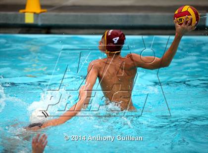 Thumbnail 3 in Westminster @ Estancia photogallery.