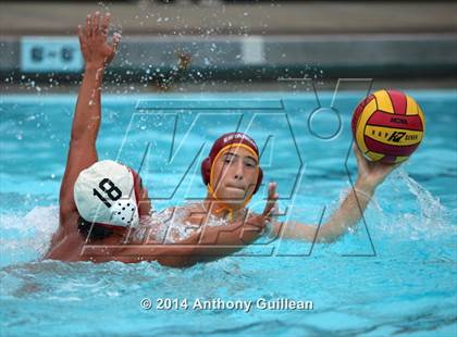 Thumbnail 1 in Westminster @ Estancia photogallery.