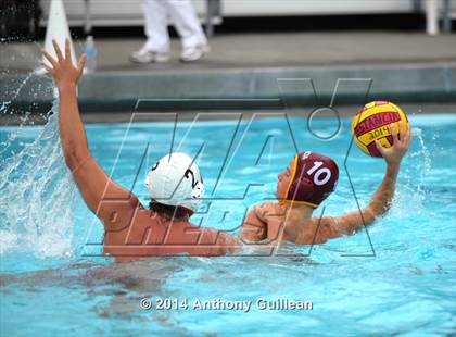 Thumbnail 3 in Westminster @ Estancia photogallery.