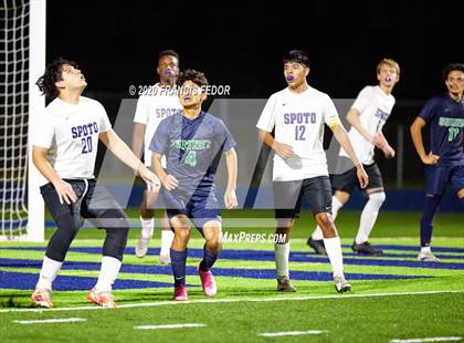 Thumbnail 1 in Spoto @ Sumner photogallery.