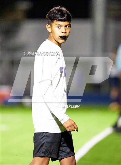 Thumbnail 3 in Spoto @ Sumner photogallery.