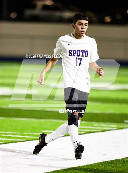 Thumbnail 3 in Spoto @ Sumner photogallery.