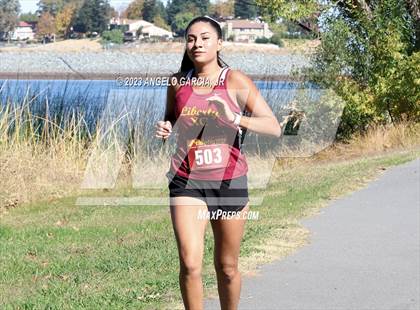 Thumbnail 1 in BVAL Cross Country Championships photogallery.