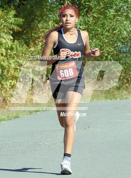 Thumbnail 3 in BVAL Cross Country Championships photogallery.