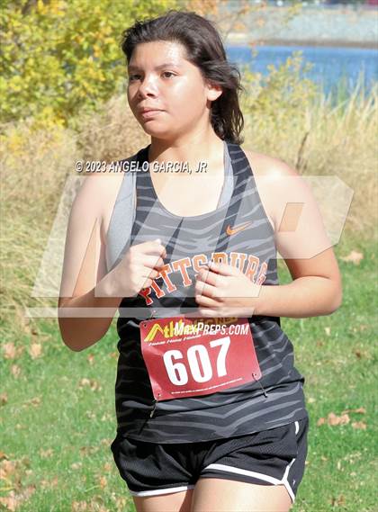 Thumbnail 3 in BVAL Cross Country Championships photogallery.
