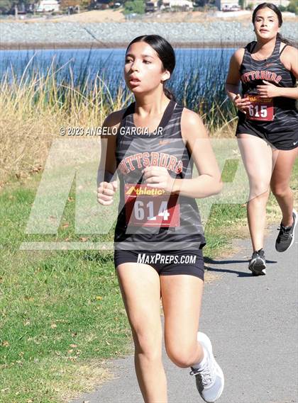 Thumbnail 1 in BVAL Cross Country Championships photogallery.