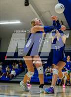 Photo from the gallery "Marshall @ Cotter"