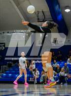 Photo from the gallery "Marshall @ Cotter"
