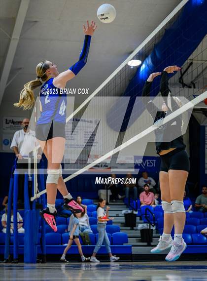 Thumbnail 1 in Marshall @ Cotter photogallery.