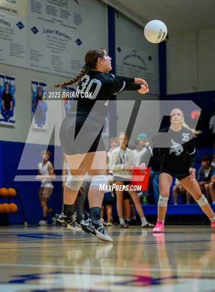 Thumbnail 3 in Marshall @ Cotter photogallery.