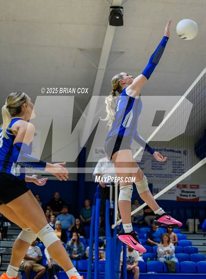 Thumbnail 2 in Marshall @ Cotter photogallery.