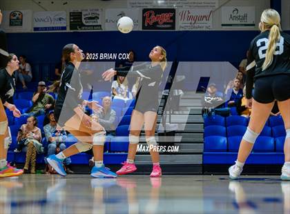 Thumbnail 2 in Marshall @ Cotter photogallery.