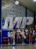 Photo from the gallery "Marshall @ Cotter"