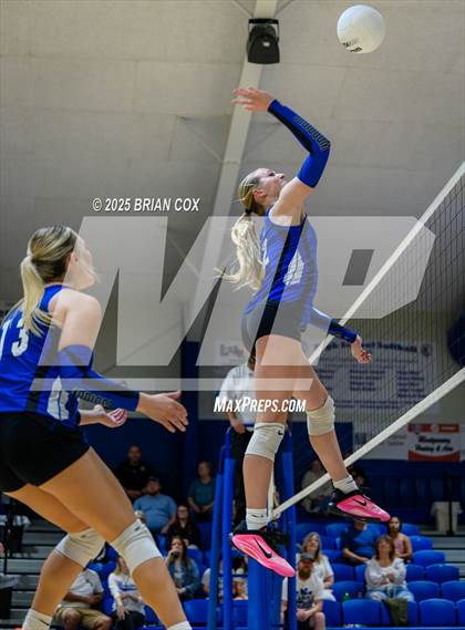 Thumbnail 1 in Marshall @ Cotter photogallery.