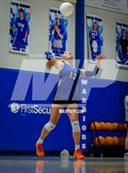 Photo from the gallery "Marshall @ Cotter"