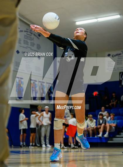 Thumbnail 3 in Marshall @ Cotter photogallery.