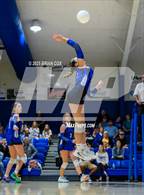 Photo from the gallery "Marshall @ Cotter"