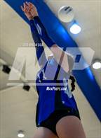 Photo from the gallery "Marshall @ Cotter"