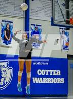 Photo from the gallery "Marshall @ Cotter"