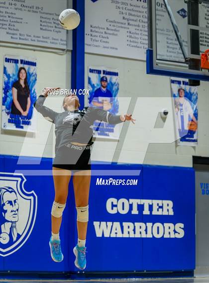 Thumbnail 2 in Marshall @ Cotter photogallery.