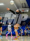 Photo from the gallery "Marshall @ Cotter"