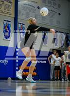 Photo from the gallery "Marshall @ Cotter"