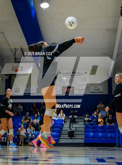 Thumbnail 2 in Marshall @ Cotter photogallery.