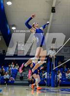 Photo from the gallery "Marshall @ Cotter"