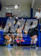 Photo from the gallery "Marshall @ Cotter"