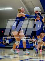 Photo from the gallery "Marshall @ Cotter"