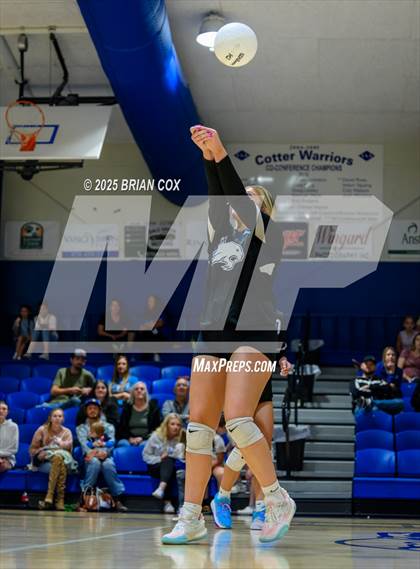 Thumbnail 2 in Marshall @ Cotter photogallery.