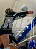 Photo from the gallery "Marshall @ Cotter"