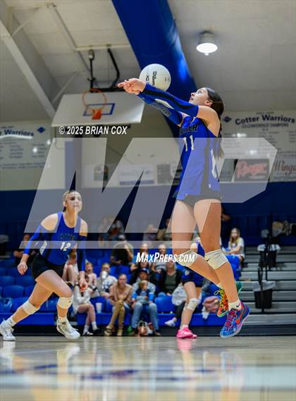 Thumbnail 2 in Marshall @ Cotter photogallery.